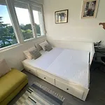 Centar Visnjik, Zadar