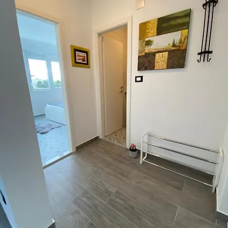 Centar Visnjik, Zára