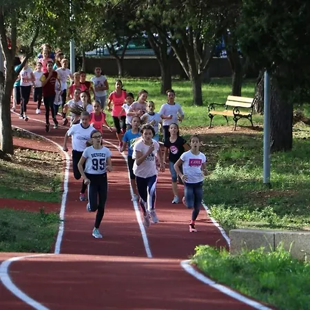 Centar Visnjik, Zadar