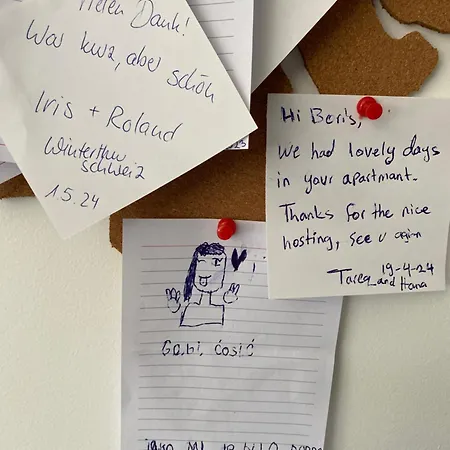 Centar Visnjik, Apartman