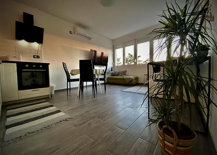 Centar Visnjik, Appartement *